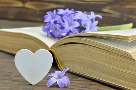 Happy Fathers Day card with hyacinth flower on the old bookの写真素材