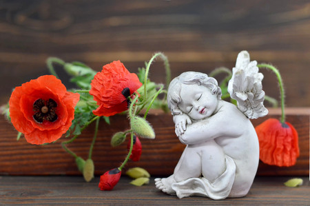 Angel guardian and red poppy flowersの写真素材