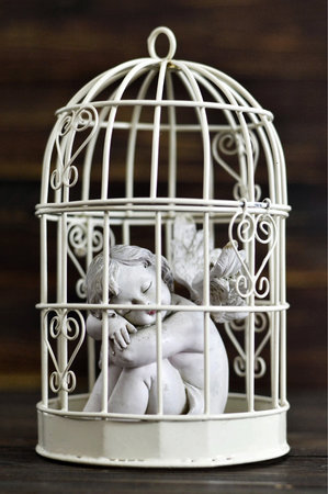 Angel in a birdcageの写真素材