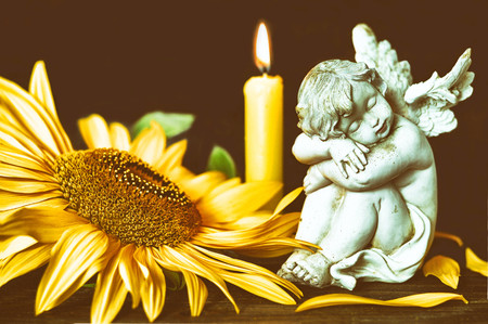 All Saints Dayの写真素材