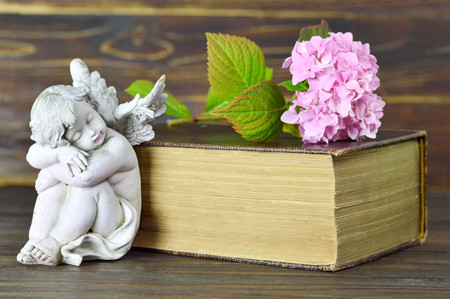 Little guardian angel and flowerの写真素材