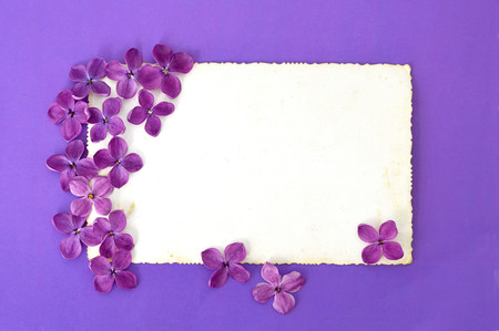 Blank greeting card and lilac flowersの写真素材