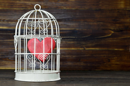 Heart inside the bird cageの写真素材