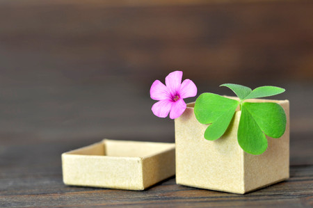 Flower in the gift box on wooden background