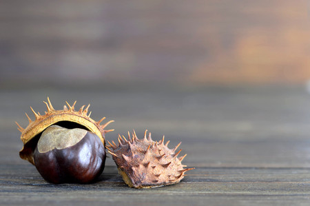 Chestnut on wooden background