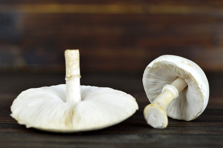 Mushrooms on wooden background
