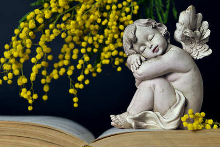Angel and spring flowers on dark backgroundの写真素材