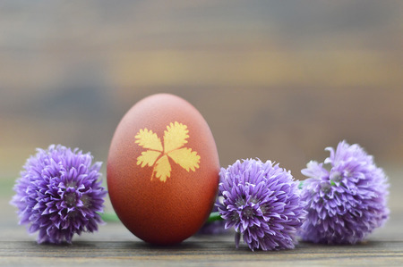 Easter card with Easter egg colored with onion and chive flowers