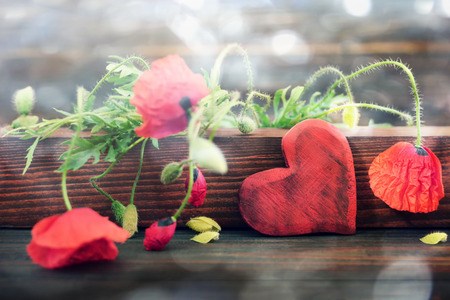 Valentines Day heart and red poppiesの写真素材