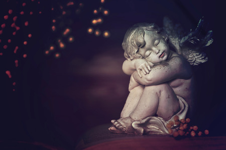Sleeping angel   