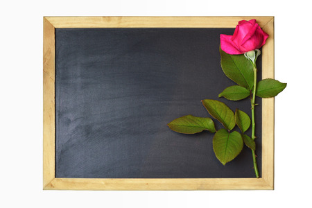  Valentines Day or Mothers Day backgroundの写真素材