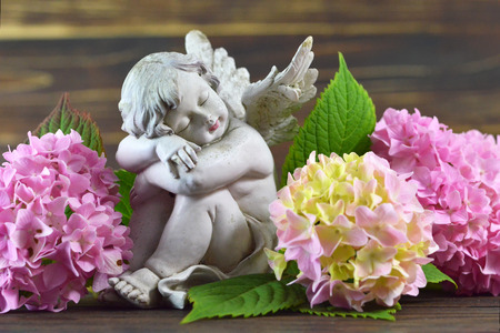 Angel and flowers       の写真素材