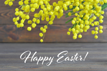 Happy Easter card with mimosa flowers on wooden backgroundの写真素材
