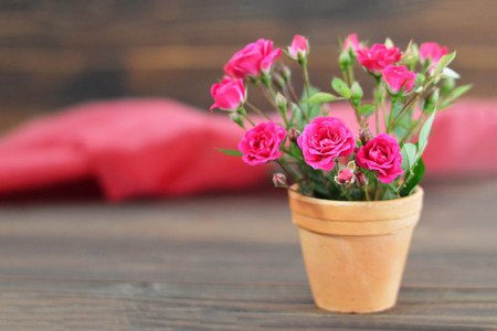 Mothers Day flowers in the cley flower potの写真素材
