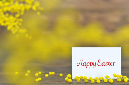 Happy Easter card and mimosa flowers  の写真素材