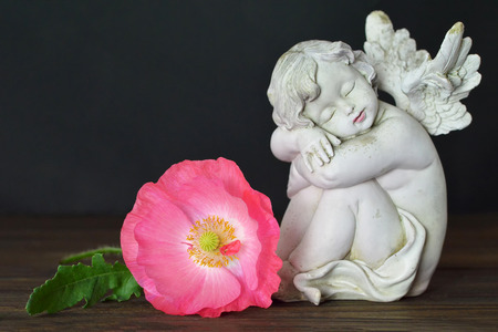 Guardian angel and poppy flowerの写真素材