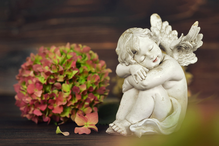Angel and hydrangea flowerの写真素材
