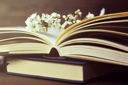 Spring flowers on open bookの写真素材