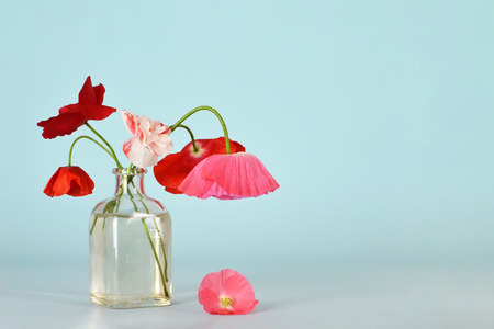 Poppy flowers in a bottleの写真素材