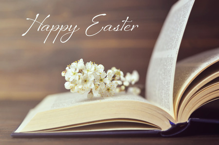 Happy Easter card with spring flower branch on open bookの写真素材
