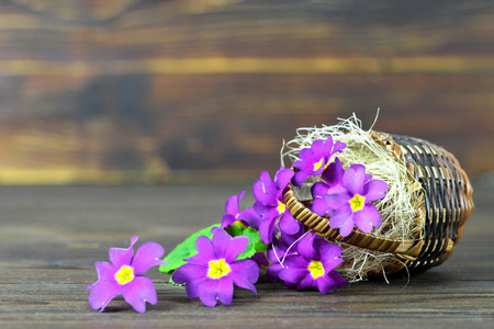 Easter flowers. Spring flowers in the basketの写真素材