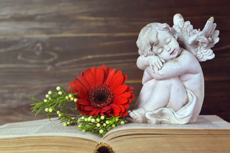 Guardian angel sleeping on the bookの写真素材