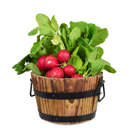 Red radishes in a bowl isolated on whiteの写真素材