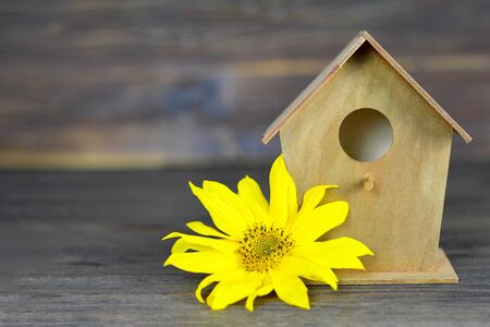Bird house and yellow flower on wooden background