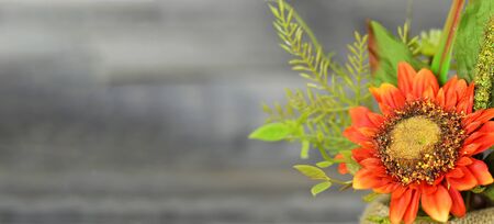 Sunflower on wooden background with copy space