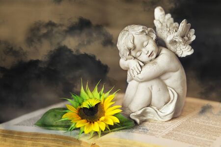 Guardian angel and sunflower on the book with dark sky in backgroundの写真素材