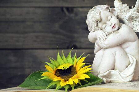 Close up of guardian angel and sunflowerの写真素材