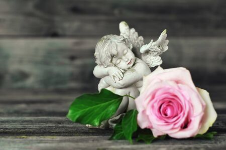 Angel and rose on old wooden backgroundの写真素材
