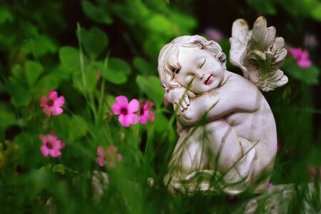 Close up of angel sleeping in grass