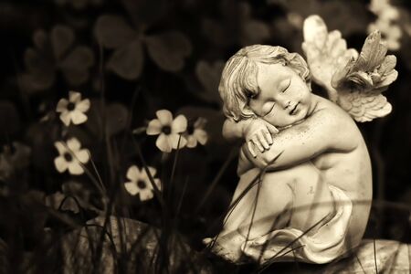 Sleeping guardian angel and flowers