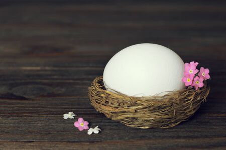 White Easter egg in nest on wooden background