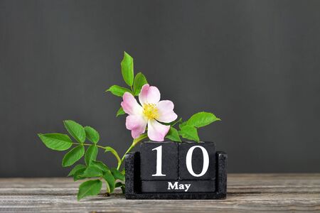 Mothers day card with old vintage calendar and wild roseの写真素材