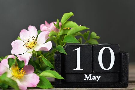 Mothers day card with old vintage calendar and wild rosesの写真素材