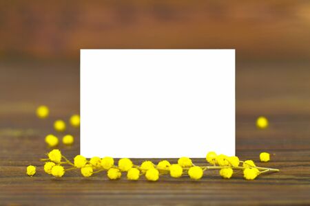 Mothers Day card with yellow mimosa flowers and copy spaceの写真素材