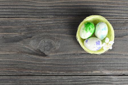 Easter eggs in nest and spring flower on wooden background with copy space  
