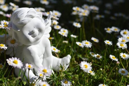 Cute guardian angel and daisy flowers