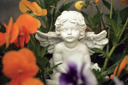 Little angel and pansy flowersの写真素材