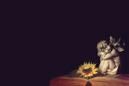 Condolence card with a sleeping angel and sunflower on open book, dark background with copy spaceの写真素材