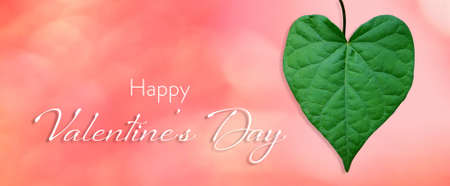 Happy Valentines Day card with heart shaped leaf on pink backgroundの写真素材