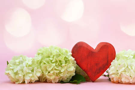 Valentines Day card. Red wooden heart ornament and white snowball flowers on pink backgroundの写真素材