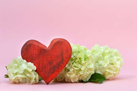 Red wooden heart ornament and white snowball flowers on pink background with copy space. Card for Valentines Day, Mothers Day or Anniversaryの写真素材