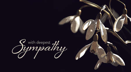 Condolence card with snowdrops illustration isolated on black backgroundの写真素材