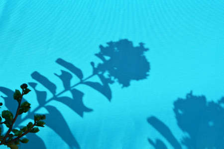 Leaf shadows on a blue fabric background