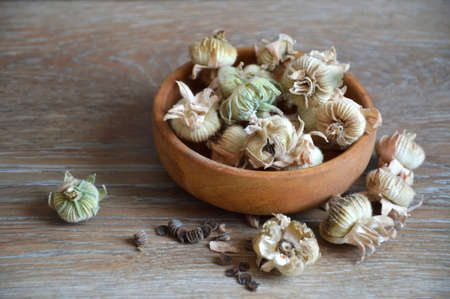 Close up of hollyhock seed pods in wooden bowlの写真素材
