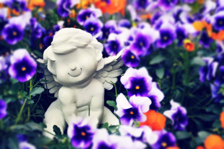 Angel and pansy flowers backgroundの写真素材