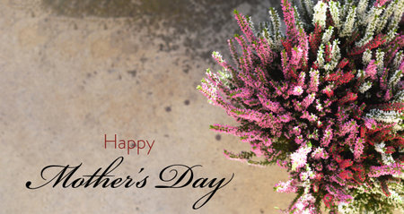 Happy Mothers Day card with heather flowers on grunge backgroundの写真素材